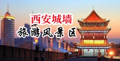 用力操老师的逼中国陕西-西安城墙旅游风景区